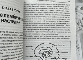 Полтора года на запчасти: вам все еще нужен кореец?