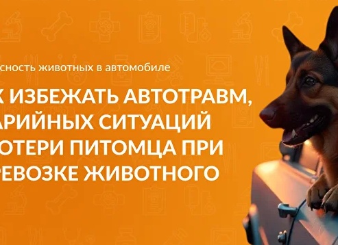 Как избежать потерь: безопасность в перевозке бытовой техники